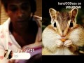 TranzGODess LIVE W Mister Mmkay Video
