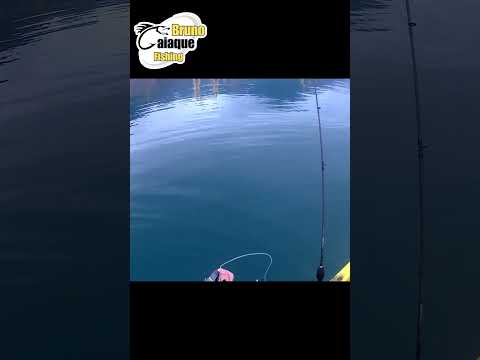 NEW RECORD, Robalo 60cm, 1,827kg!!!!!!PESCA DE CAIAQUE - Baía de Jacuecanga - Angra dos Reis - RJ