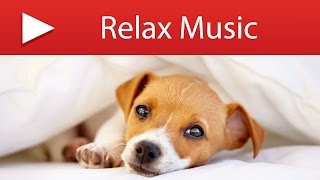The Secret Life of Pets - Pet Therapy Music for Animals at Home Alone