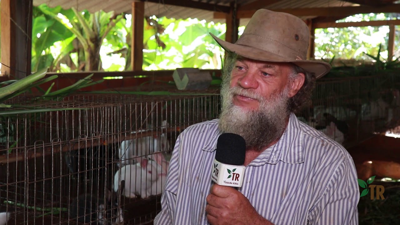 Família aposta na produção de coelhos