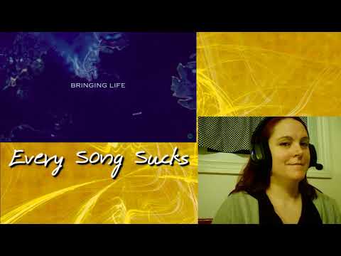 Fractal Gates - Chasing The Line (Reaction) // Every Song Sucks