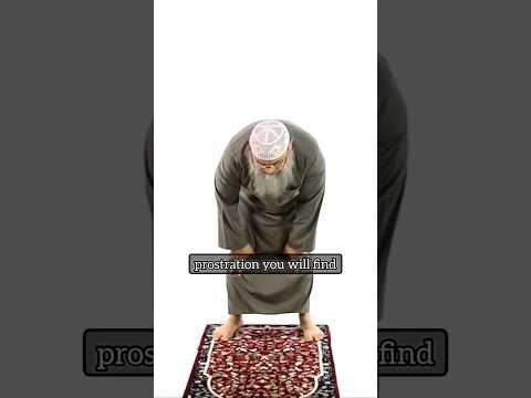 Where to look when in ruku? The Prophet's Prayer ﷺ‎ | explained by Assim Al Hakeem #learnsalah