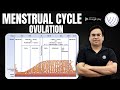 Menstrual Cycle And Ovulation CSIR NET Life Science TNS Concepts