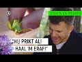 JURRE WORDT GEBETEN DOOR EEN SPRINKHAAN! | Steken en Prikken #6 | NPO Zapp