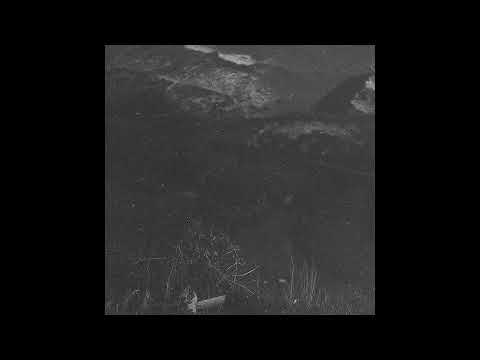 PHARAOH + White Punk type beat