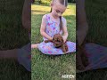 Cavapoo dogs for sale: Aspen - Video 1