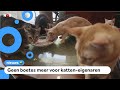 Kat als huisdier was jaren verboden in Singapore, nu mag het weer