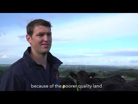 Farming with Field Cred - Douglas