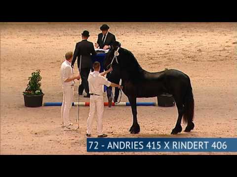 Derde bezichtiging 2017 – Deel 2