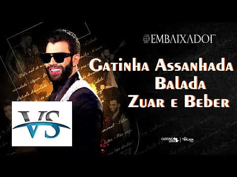 VS GATINHA ASSANHADA, BALADA, ZUAR E BEBER - GUSTAVO LIMA - VS DE FORRO - VS SERTANEJO