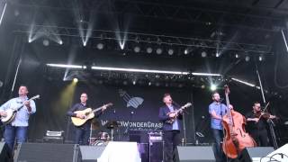The Travelin' McCourys "Somebody's Gonna Pay"  4.3.16 WinterWonderGrass Tahoe