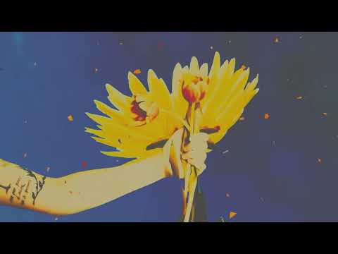 Phantom Handshakes - The Flowery Man (Official Video)