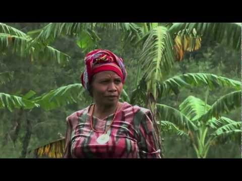 Aleta Baun: 2013 Goldman Environmental Prize Winner, Indonesia