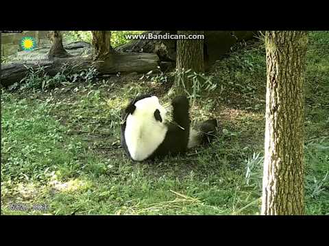 2017.05.26 GUESS WHO IS HE?