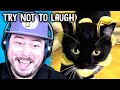 I ASKED FOR FUNNY VIDEOS AND YOU DELIVERED Try Not To Laugh Challenge