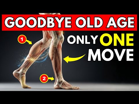 Over 50? This Slow Sampo Walking Method Changes Everything (Japanese Secret)
