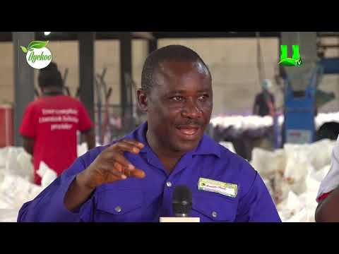 AYEKOO:  A2 AGRO POULTRY FEED PROCESSING FACTORY – KUMASI