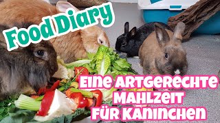Eine artgerechte Mahlzeit für Kaninchen | Food Diary