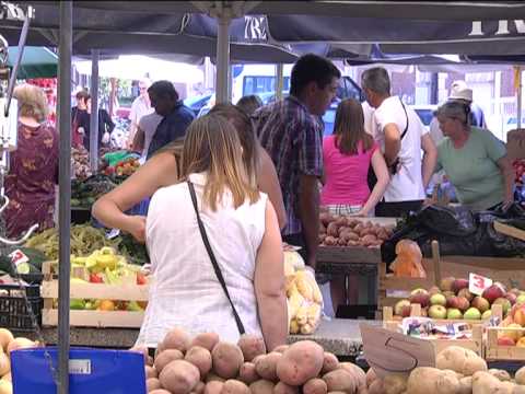 Udruga Nutricionizam Balans (Osječka televizija)