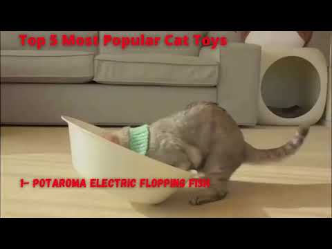 Top 5 most popular Cat Toys
