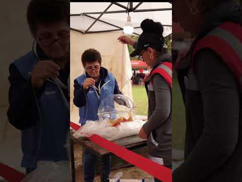 Bienal del Chaco  #BienalDelChaco #Bienal2026 #VillaBerthet #ArteChaqueño #Upcycling