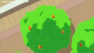 One Piece- Abschied von der Flying Lamb