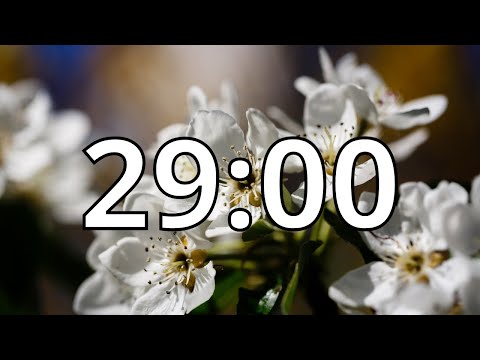 29 Minutes Timer with Music | Spring Timer
