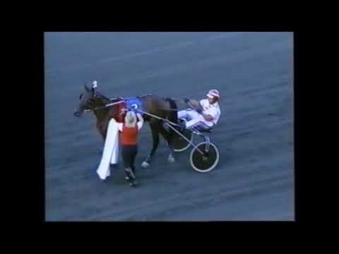 1998 Meadowlands COUNT ON JEFF Nick Celantri Hambletonian Amateur Trot