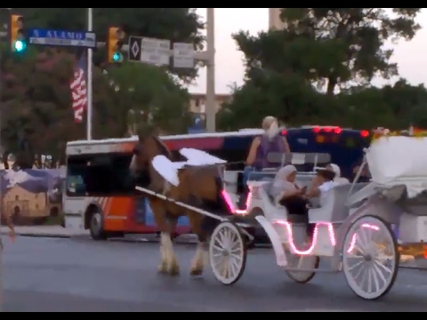 San Antonio Bagpiper - Horses, Bagpipes, and lots of Wind - July 15, 2016