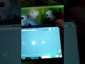 Little Einsteins In G Major 1