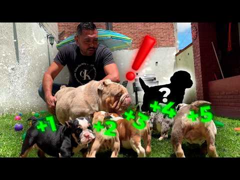 Polar Conoce a Sus Hijos ¡Ya Es Papá! 🐶