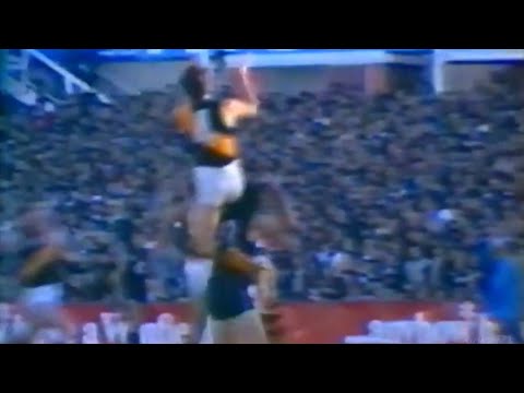 Geoff Raines great marks 1982