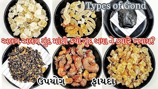 Download lagu માર્કેટમાં મળતા અલગ અલગ પ્રકાર ના ગુંદ તેના ઉપયોગ અને ફાયદા | Types of Gond, Uses and Benefits mp3 Download lagu માર્કેટમાં મળતા અલગ અલગ પ્રકાર ના ગુંદ તેના ઉપયોગ અને ફાયદા | Types of Gond, Uses and Benefits mp3