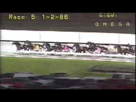 1986 Victoria Derby - Smooth Falcon