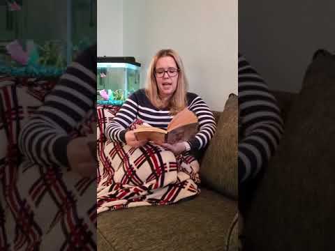 The Lion The Witch and the Wardrobe Chapter 6