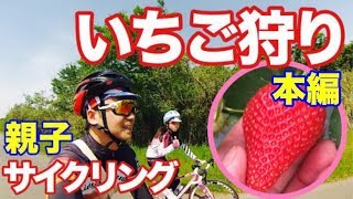 親子で『いちご狩り』サイクリング行ってきた！ 本編