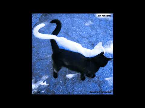 alequi & Serchito trambotiko ~ sin rencores prod. Santamaria (AUDIO) #rencorcore #exs