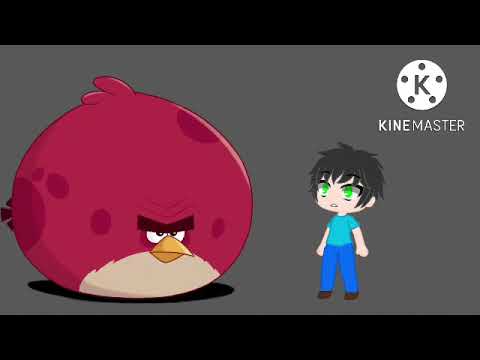 @Im_Leaving_For_Good Meets Terrence From Angry birds