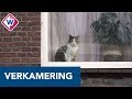 Leidse studenten worden kamers uitgejaagd en wonen weer bij ouders - OMROEP WEST