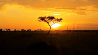 John Barry - Together at Sunset (Walkabout)