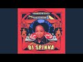 DJ Spinna ‎– A Grooveamungus