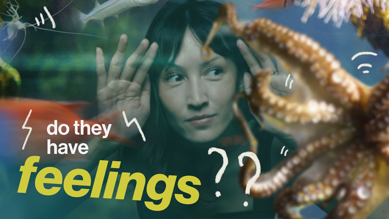 How do they know which animals are sentient?