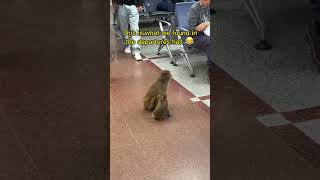 Meanwhile at Kathmandu Airport In Nepal...