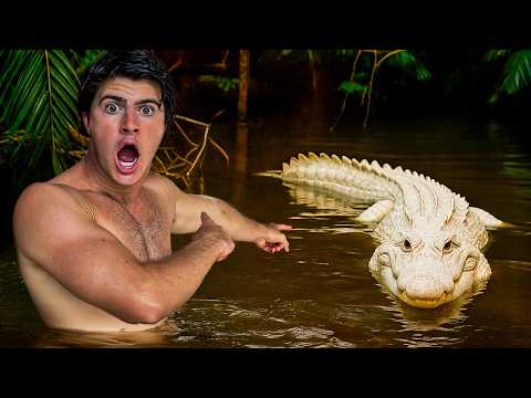 EM BUSCA DOS ANIMAIS MAIS RAROS DO PLANETA PARTE 2 (VLOG DE 1 HORA) - Natan por Aí