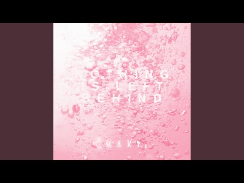 Nothing Is Left Behind