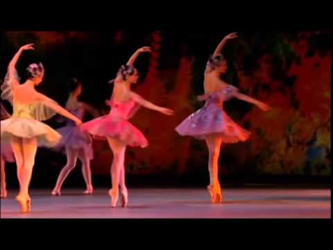 Фрагмент из балета «Спящая красавица». П.И. Чайковский.