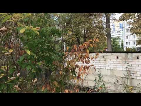 #Земля под дом центр города#Дмитров#улица #Подьячева#свет#газ#вода#канализация #АэНБИ #недвижимость