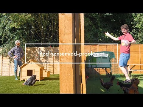 Omlet Pet Products Youtube Videos Vidplercom