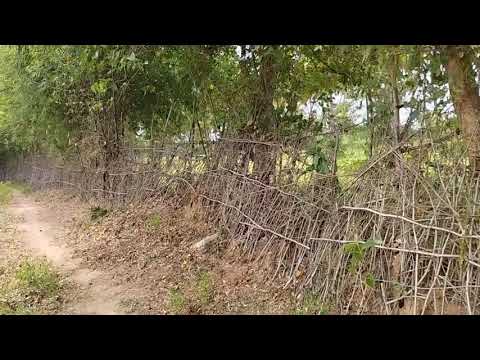  Agricultural Land 1 Acre for Sale in Kallaperambur, Thanjavur