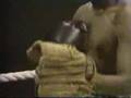 Classic Sesame Street David Vs Gordon Boxing Gloves